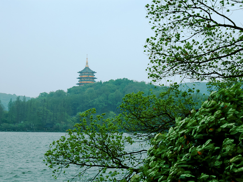 人文杭州，父母?jìng)儊?lái)了！河南礦山第十三屆孝文化感恩旅游節(jié)第三站